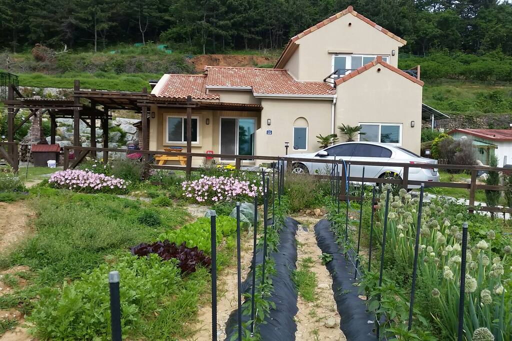 YK happy house 전경. 1층 주인집이고 2층이 개인실입니다 정원의 채소는 바베큐시 상추 깻잎 등 따드셔도 됩니다. 재배 가능한 철에 만. 7~8월에는 깻잎. 오크라. 풋고추 가능.