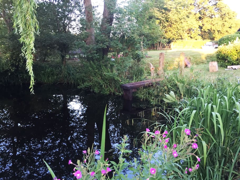Front garden pond