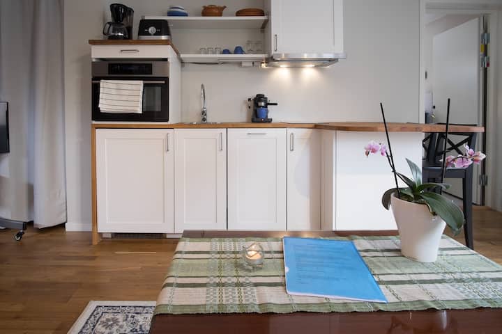 New Studio Like A Hotel Room With A Kitchen Guest Suites For Rent In Stockholm Stockholms Län Sweden