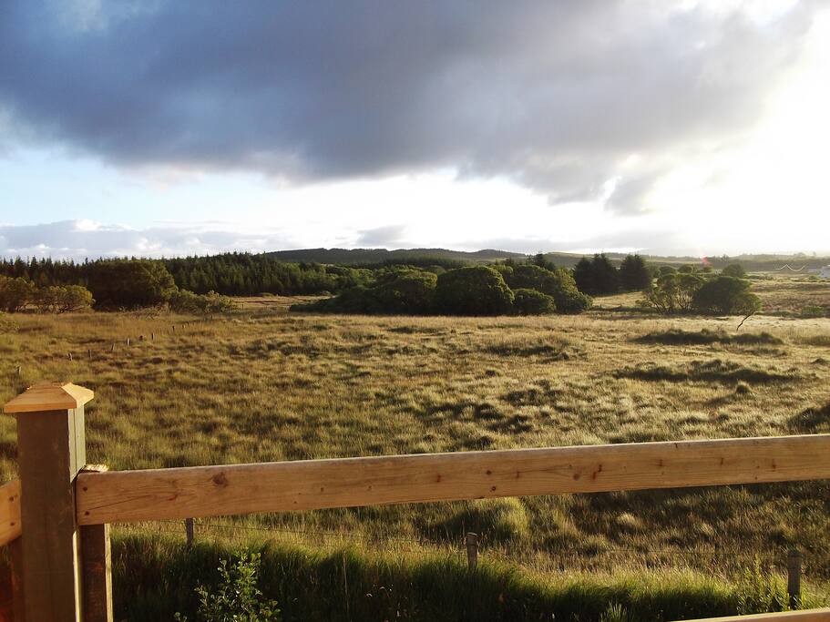 View from rear balcony