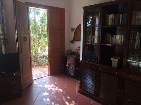 Proprietà Airbnb di successo: VILLA IN PINEWOOD NEAR THE SEA a Rio