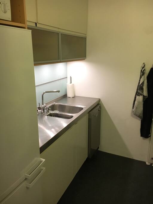 Sink & dishwasher