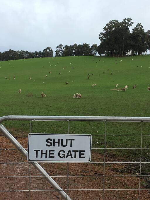 You have arrived. This is the sign on the gate where you enter the property.