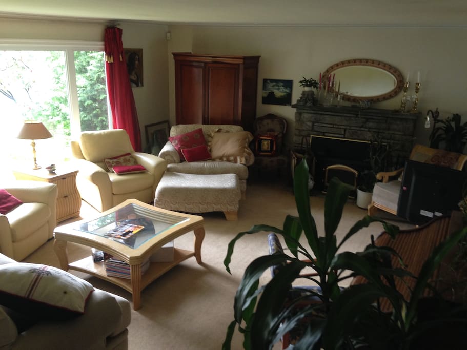 Living Room area