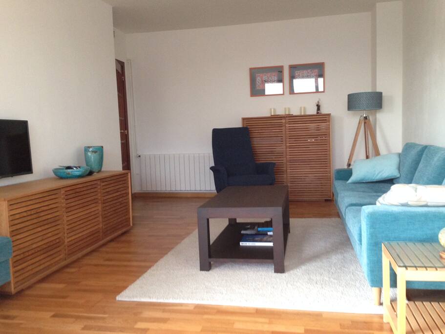 Living room with TV and music installation (35 square meter)