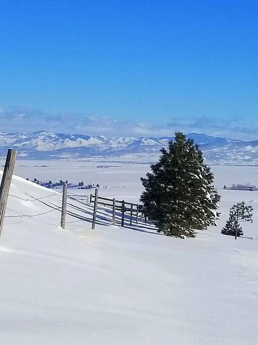another snowy day on the property