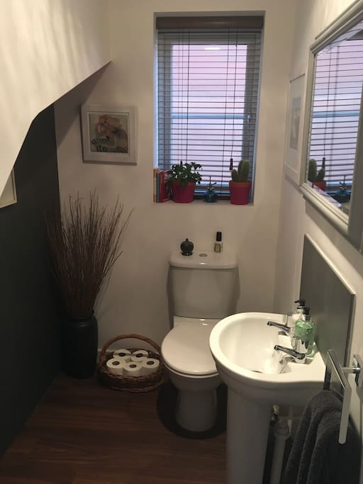 downstairs cloakroom, light comes on automatically