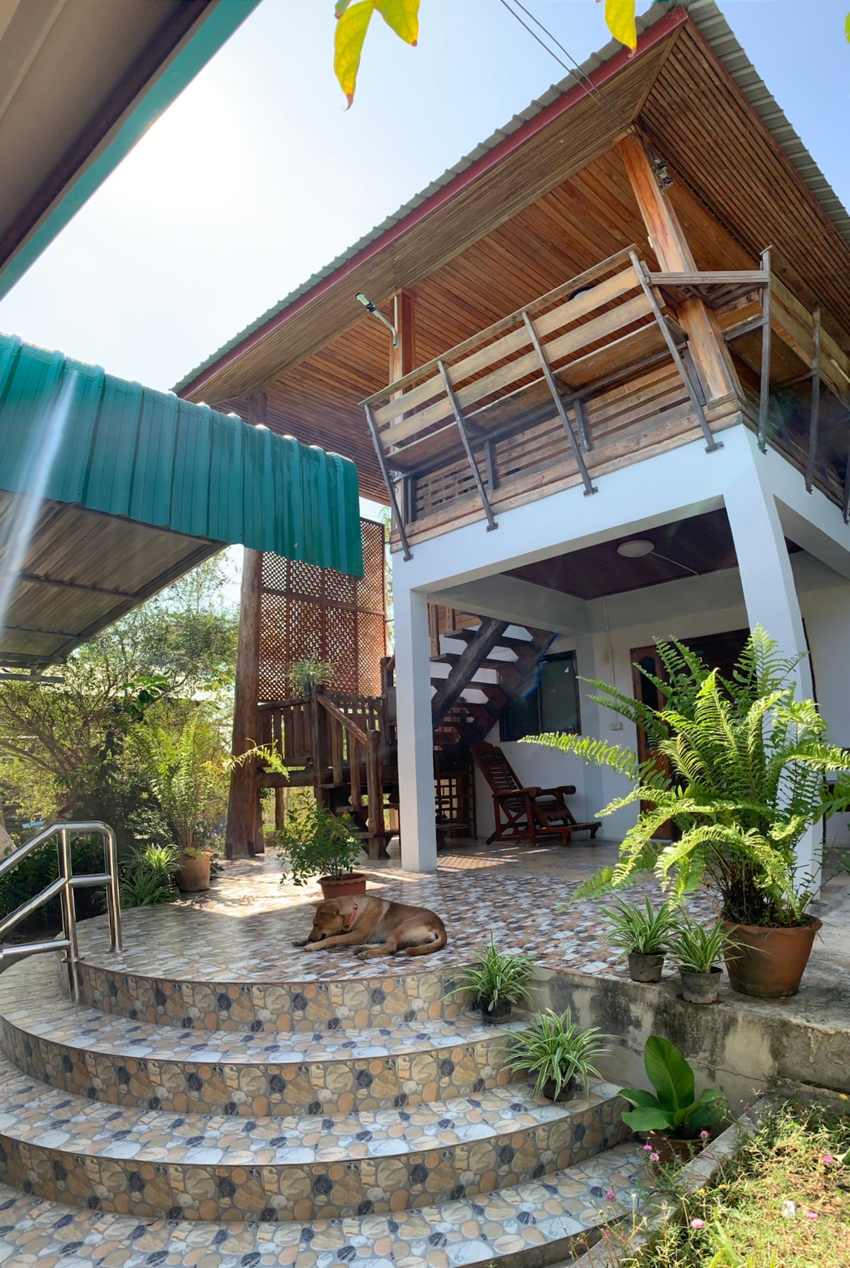 A two-story house is featured, surrounded by greenery. A staircase leads to a balcony, while potted plants adorn the base. The sunlight casts a warm glow on the structure, highlighting the outdoor steps and a dog resting on the tiled pathway.