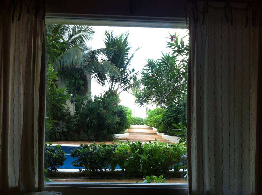 view from den