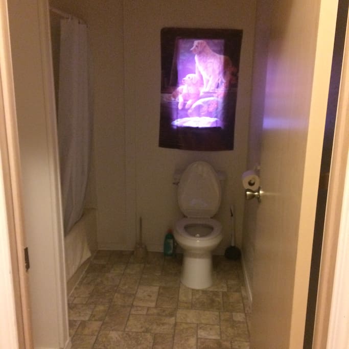 Additional Bathroom Picture