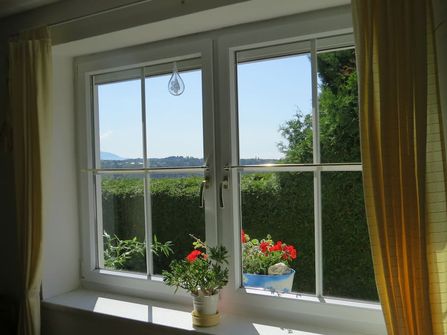 living room - view