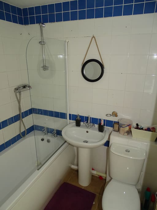 The Bathroom