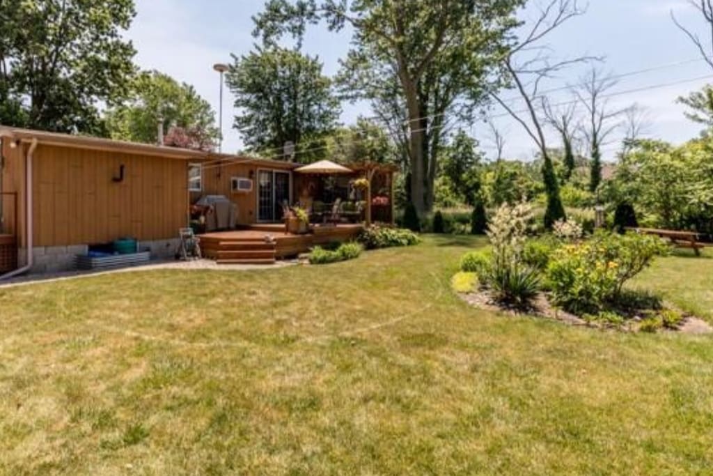 Back yard and deck