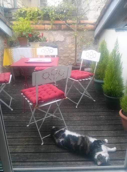 terrasse fleurie
