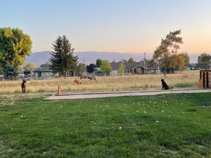 Stallion Springs Vacation Rentals & Homes California, United States