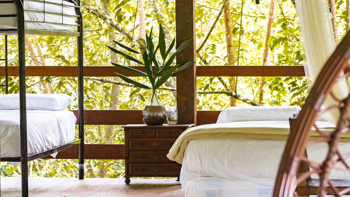 A cozy sleeping area is displayed with a combination of a double bed and a bunk bed, both adorned with crisp white linens. A bedside table holds a small vase with greenery, while large windows offer views of the surrounding jungle foliage.