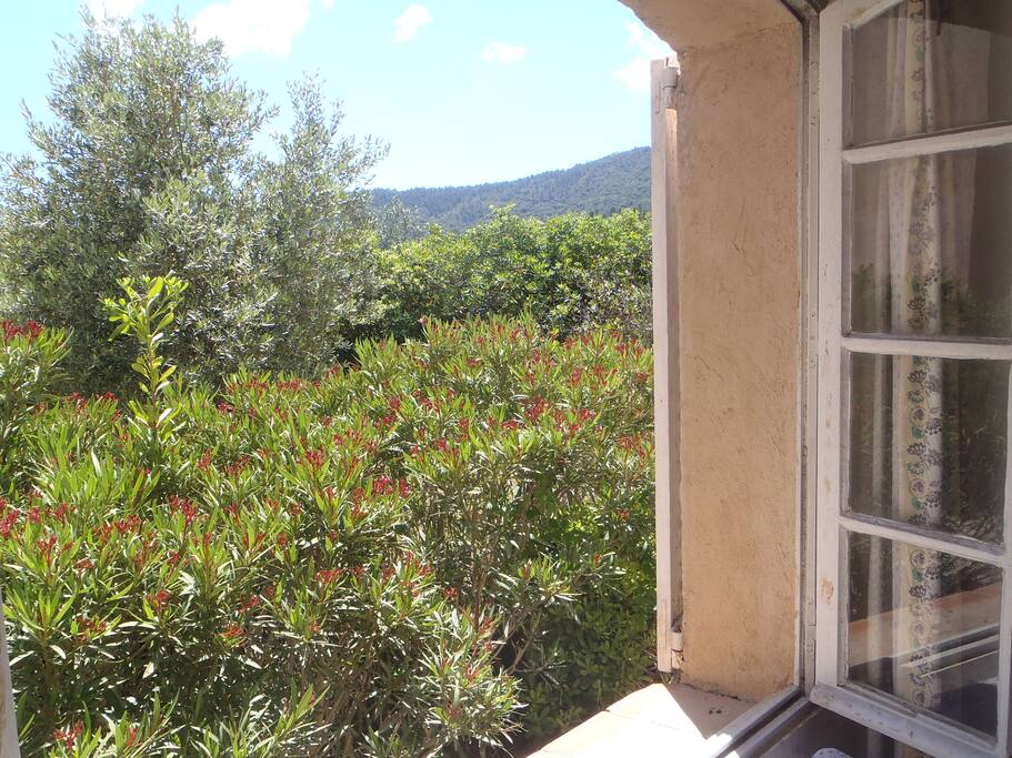 Vue de la dépendance