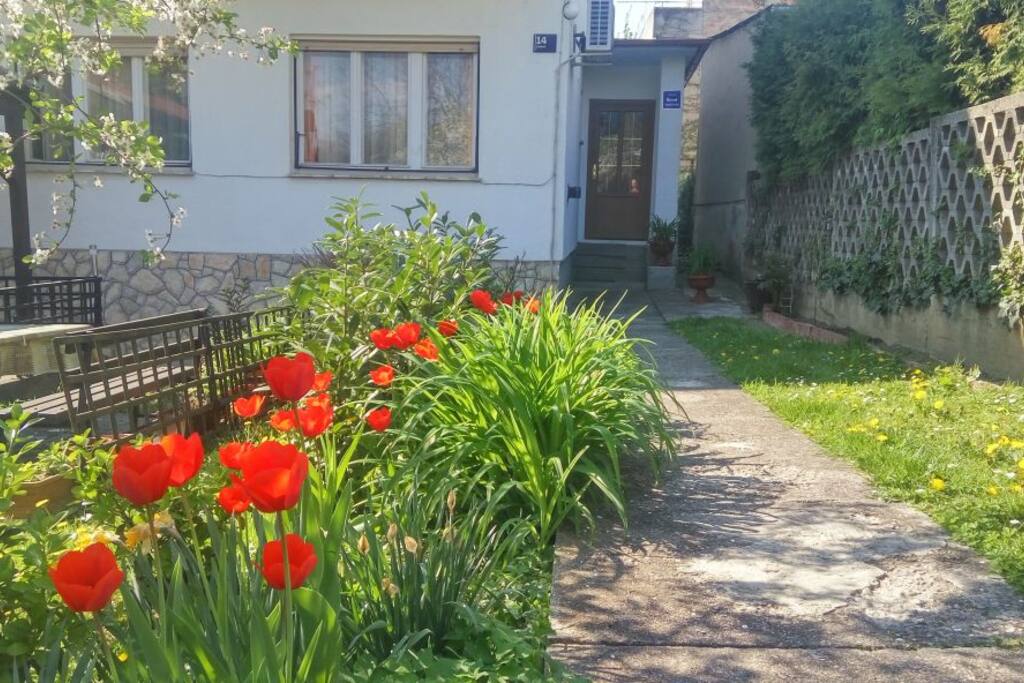 DVORIŠTE I ULAZ U APARTMAN