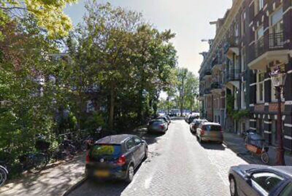 One of the greenest streets of Amsterdam