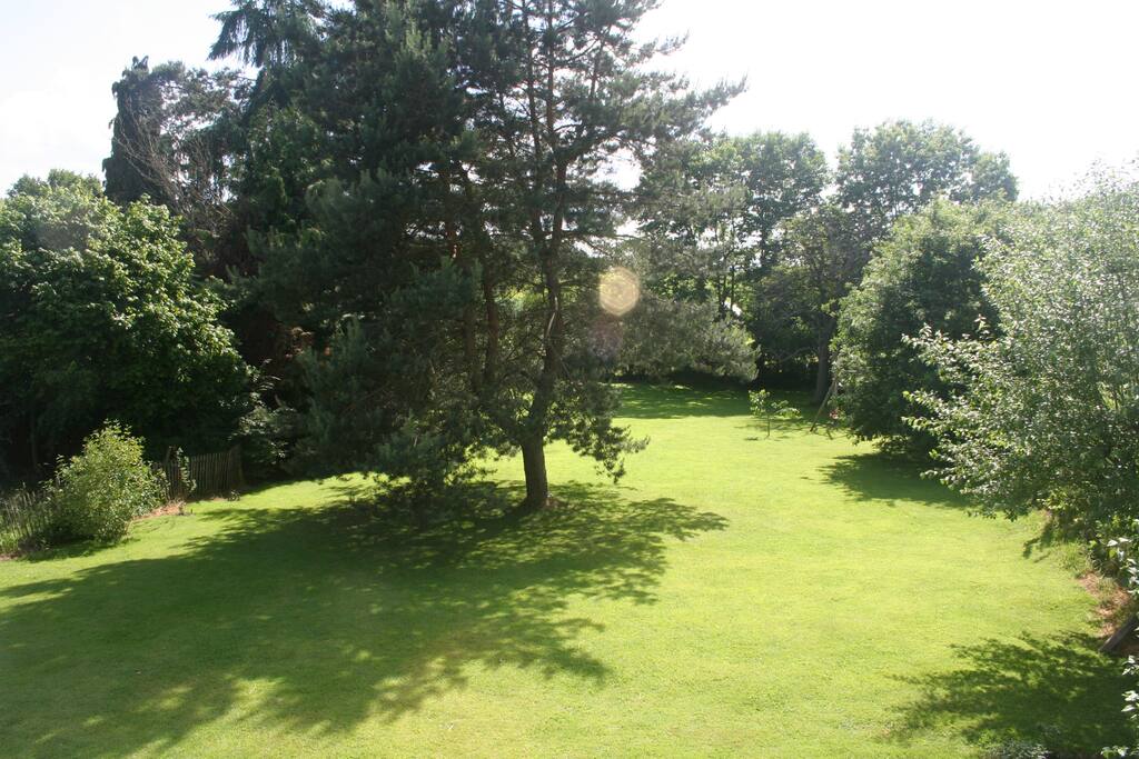 Jardin vu de la chambre