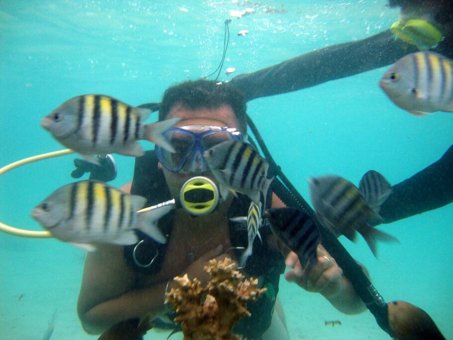 Um mergulho com os peixes em Maragogi!