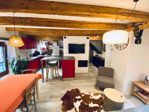 ！ Virbolain - Annecy Vieille Ville - 3 stars
