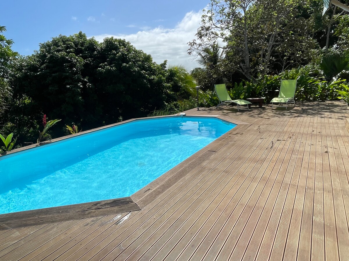 A clear swimming pool is framed by a wooden deck surrounded by lush greenery. Two lounge chairs sit on the deck, inviting relaxation in a serene outdoor environment. The clear blue sky adds to the tranquil atmosphere.