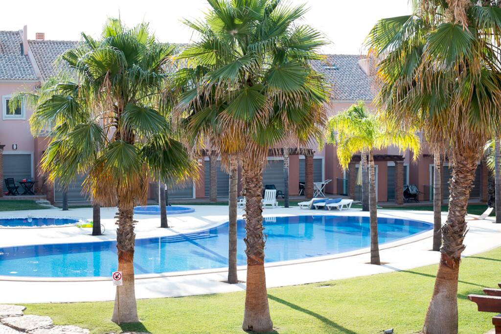 The Pool