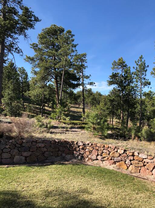 Backyard views