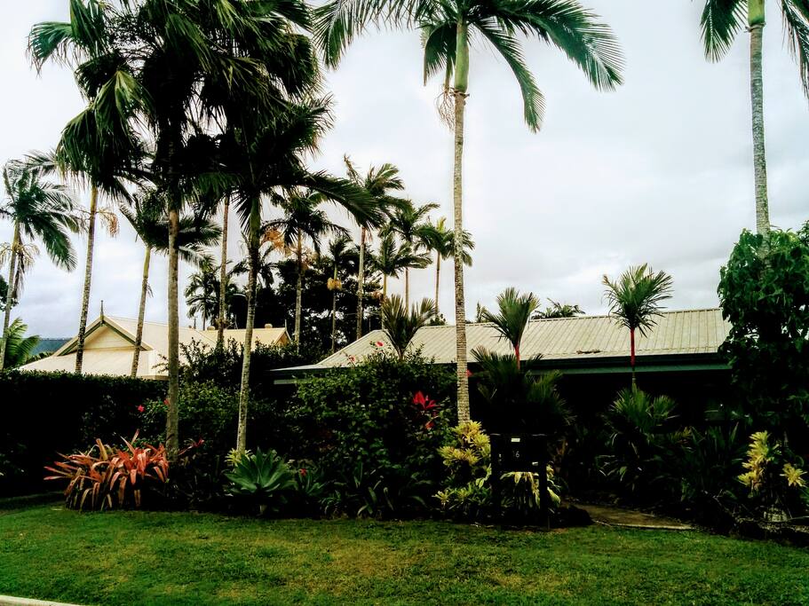 The premises
