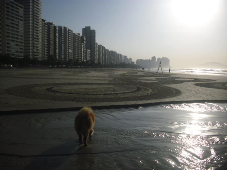 visual da praia perto do apartamento