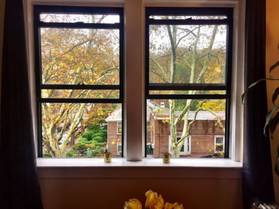View from living room this fall