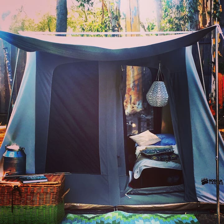 Tent Glamping -