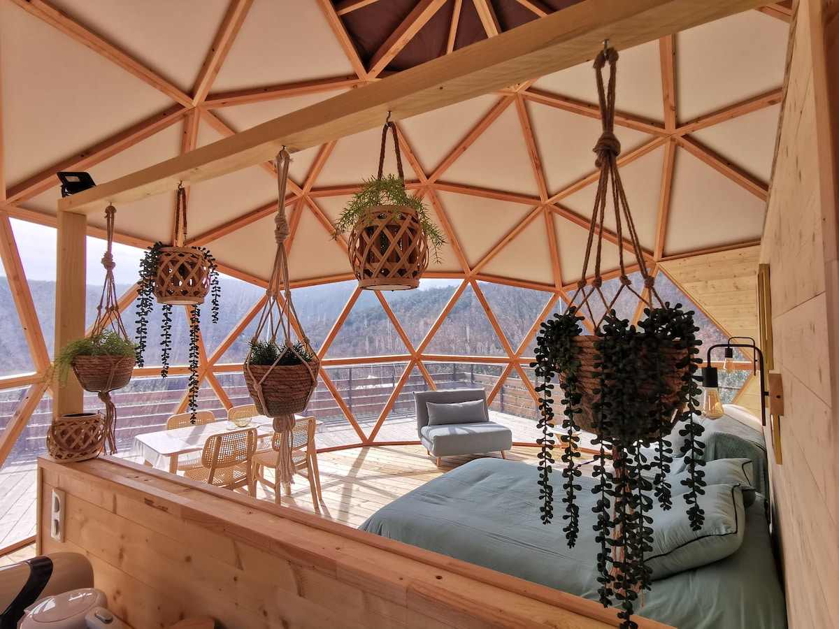 An open interior features a spacious bed with a soft green duvet positioned near large windows that allow natural light to fill the space. Hanging planters with trailing plants add a touch of greenery, while a small dining area and a comfortable chair are visible in the background.