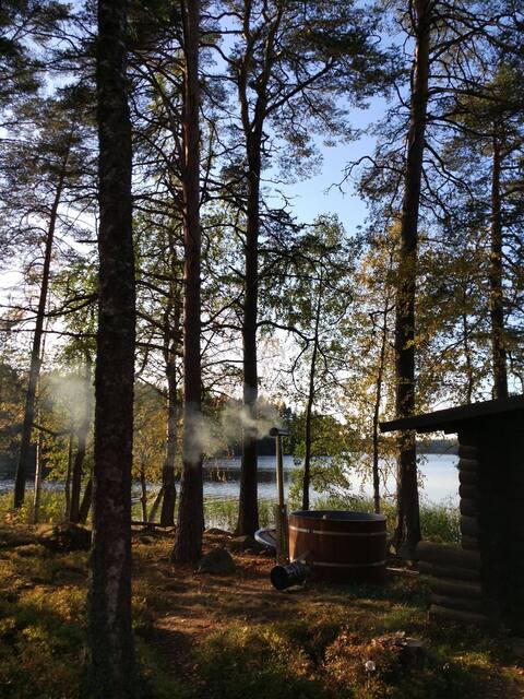 Traditional Finnish cottage surrounded by a lake