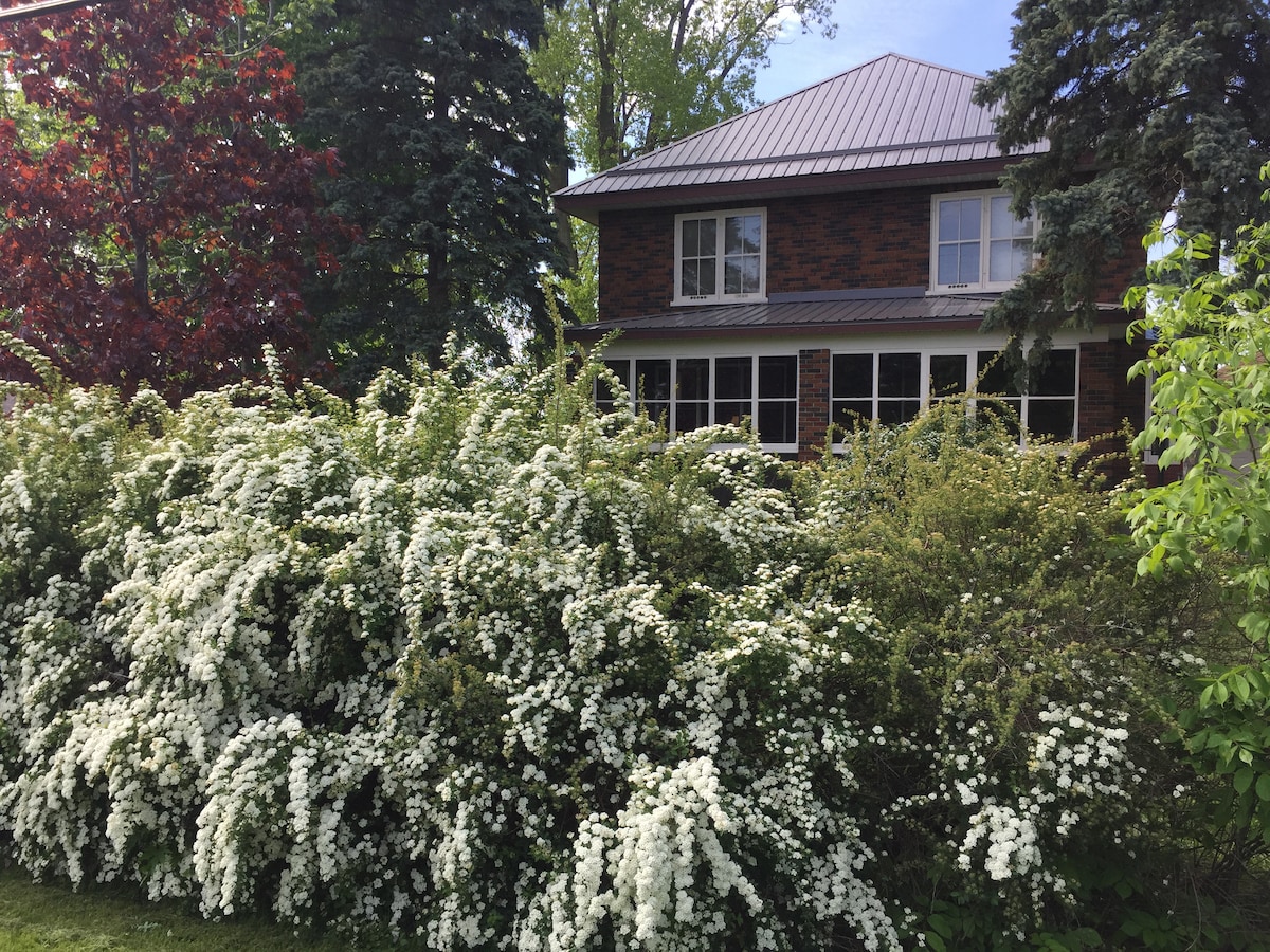 The exterior of a two-story brick house is framed by a lush expanse of white-flowering shrubs. The building features multiple windows, with a sloped roof and a covered porch partially visible. A variety of trees provide shade and greenery surrounding the property.