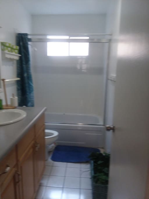Main bathroom