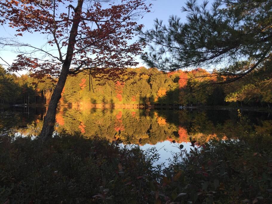 Fall colours of Walker Lake