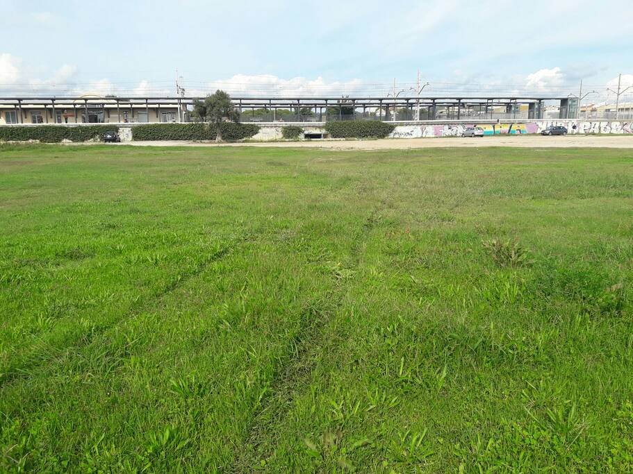 mucha zona verde.