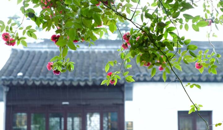 【山月茶人之家】步行三分钟到平江路/地铁站/观前街/带茶室/榻榻米/拙政园狮子林留园等均在三公里内