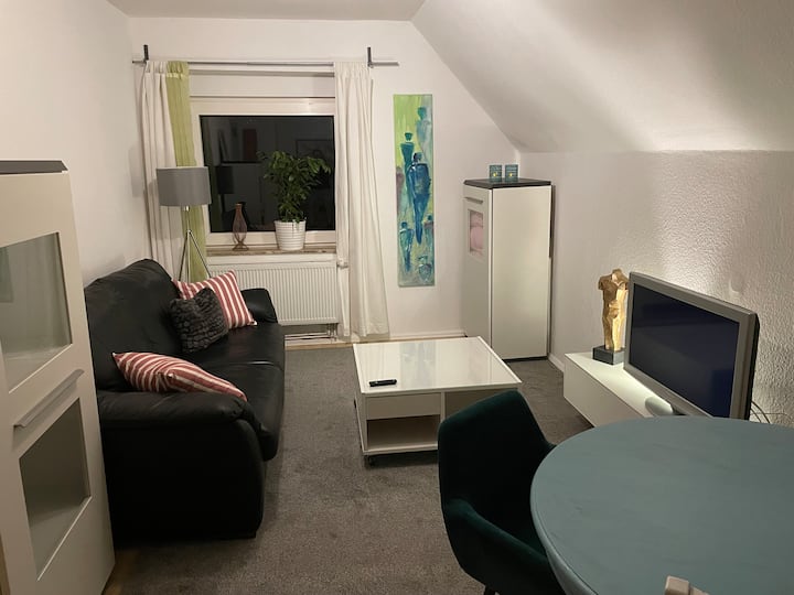 Cozy 3 bedroom apartment near the lake Apartments for