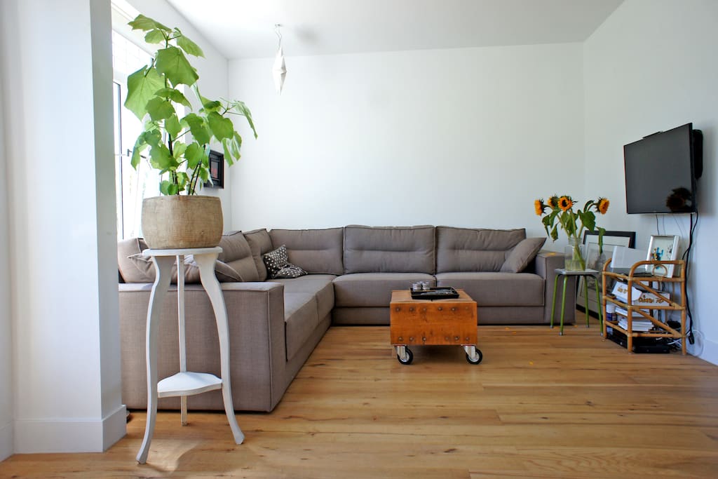 livingroom with tv