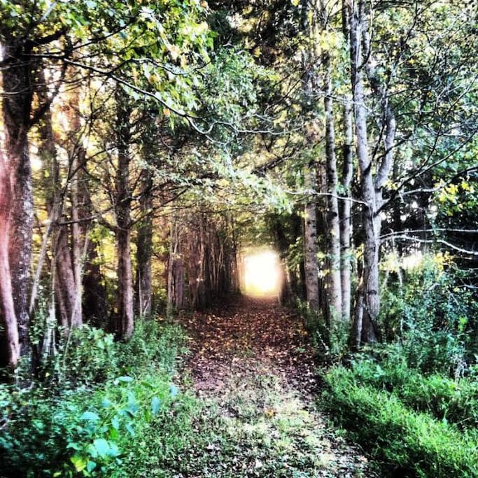 Farm roads surround the property