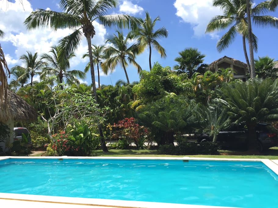 The Swimming Pool