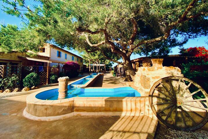 Remarkable Finca Sa Canova Agroturismo in Mallorca gallery image 3