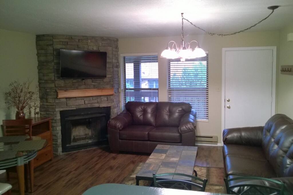 Family area with queen size sofa sleeper