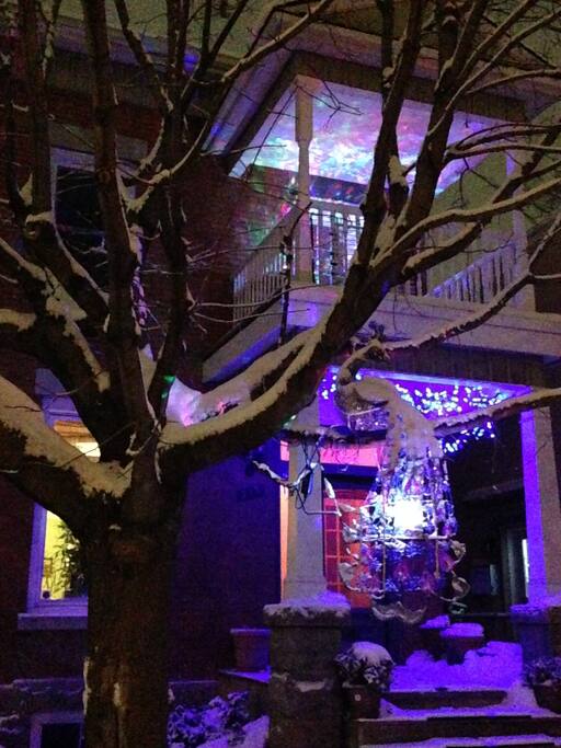 Winter holiday lights illuminate peacock and ceiling of our TopDuplex balcony!