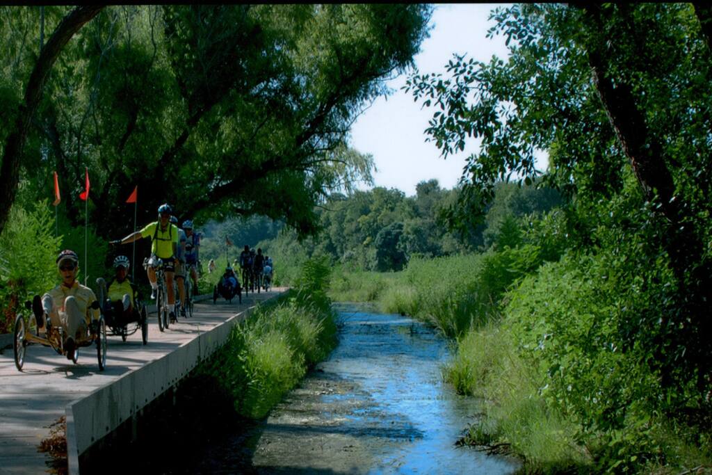 Bike Trails in McAllister Park