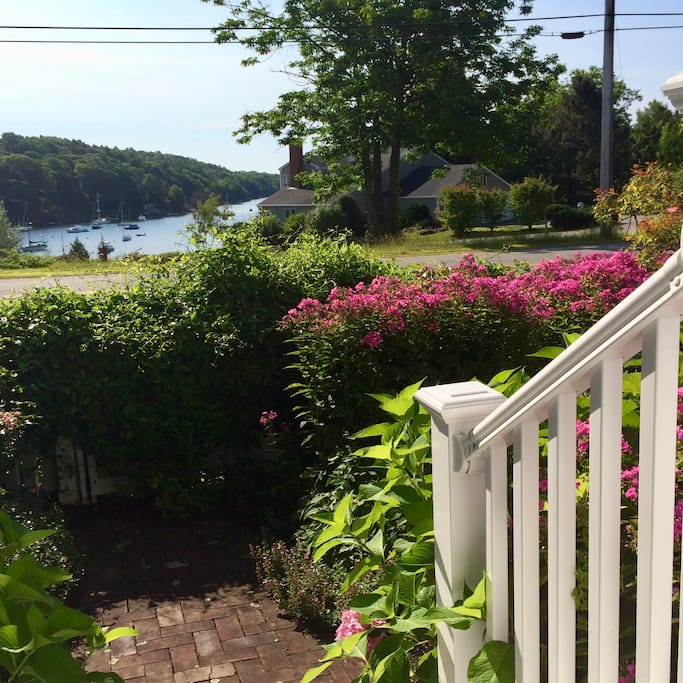 Front stoop in late spring