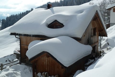 Försterhaus Dalin Ferienwohnung Schweizer Alpen